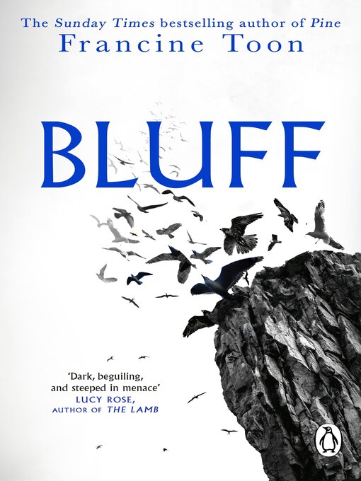 Cover image for Bluff